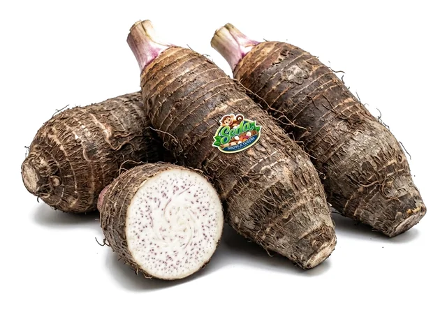 Malangas con la etiqueta SEDA Roots & Tubers, una de ellas cortada